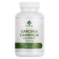 Garcinia cambogia ekstrakt