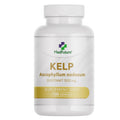 Kelp