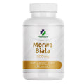 Morwa biała
