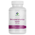 Ostropest plamisty ekstrakt 80% sylimaryny