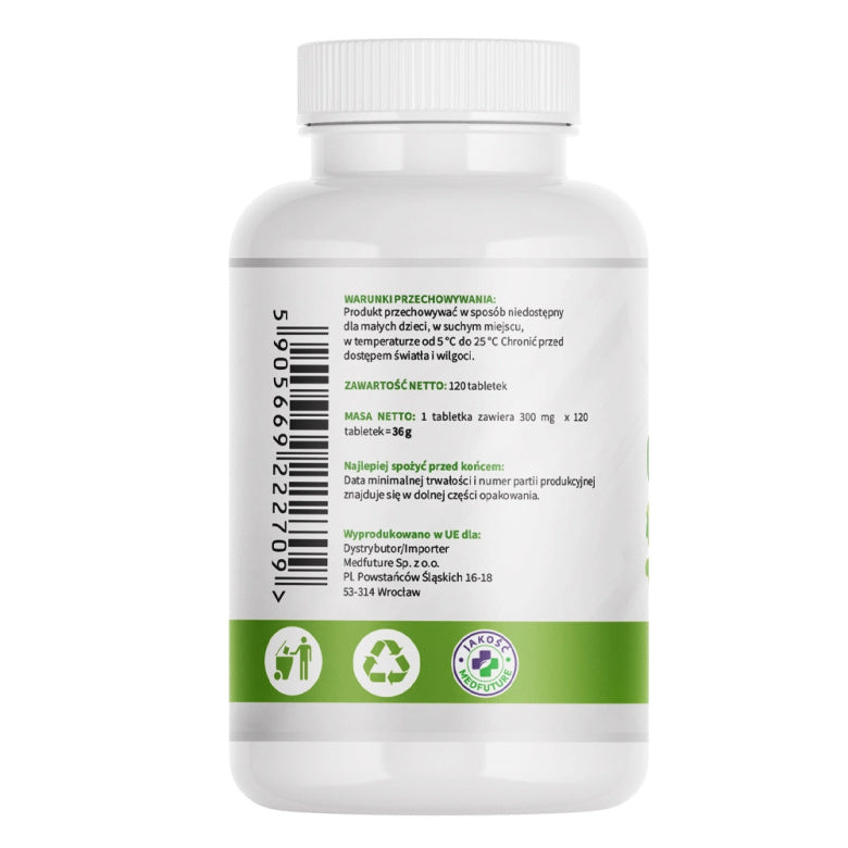 Ginkgo Biloba ekstrakt 120mg - 120 tabl