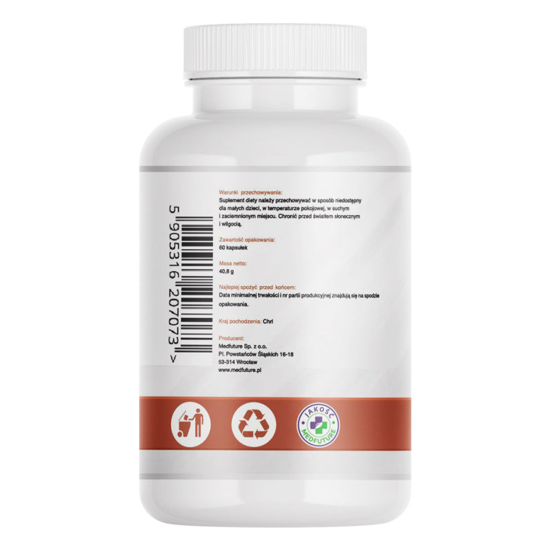 Reishi ekstrakt 670mg - 60 kaps