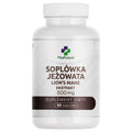 Soplówka jeżowata Lion's mane ekstrakt 500mg - 60 kaps